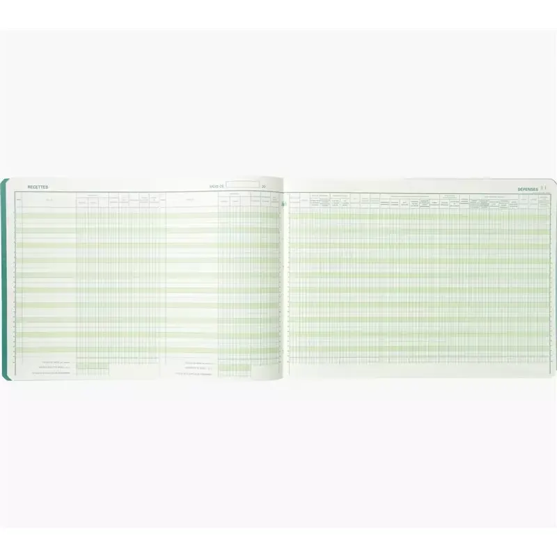 Journal recettes dépenses professions libérales 80 pages