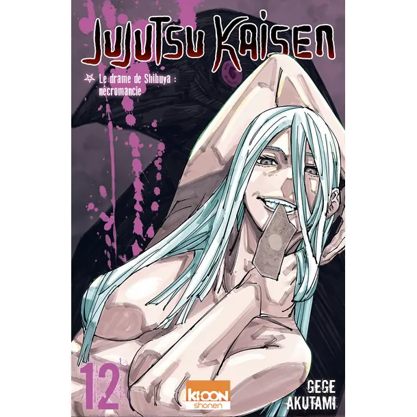 Jujutsu Kaisen - Tome 12