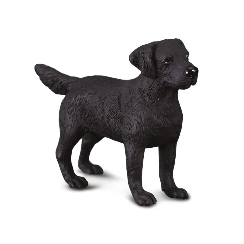 Labrador CollectA - Figurine Chien 88076