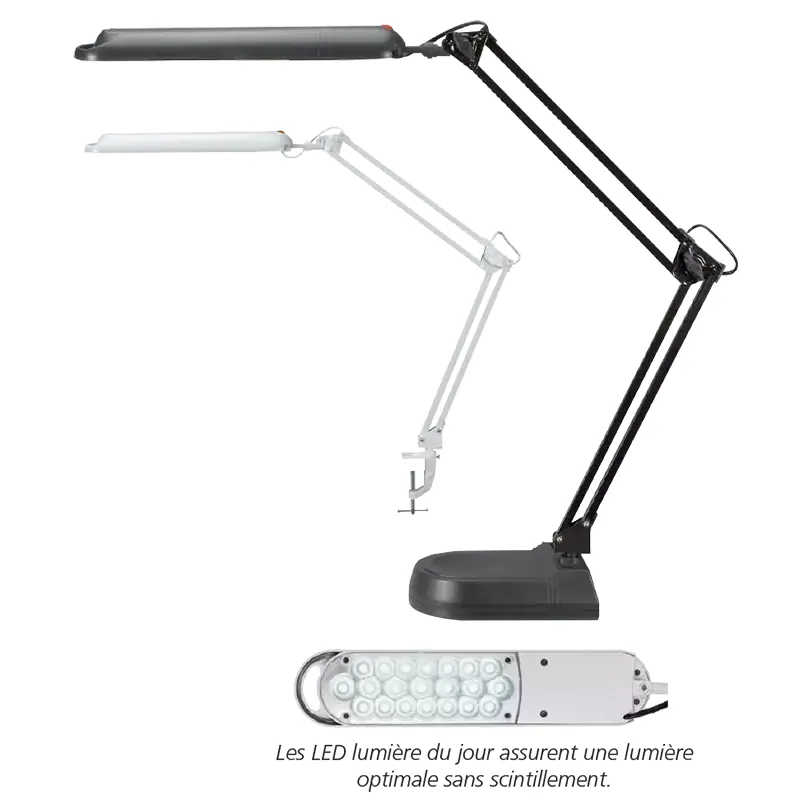 Lampe de bureau à LED MAULatlantic