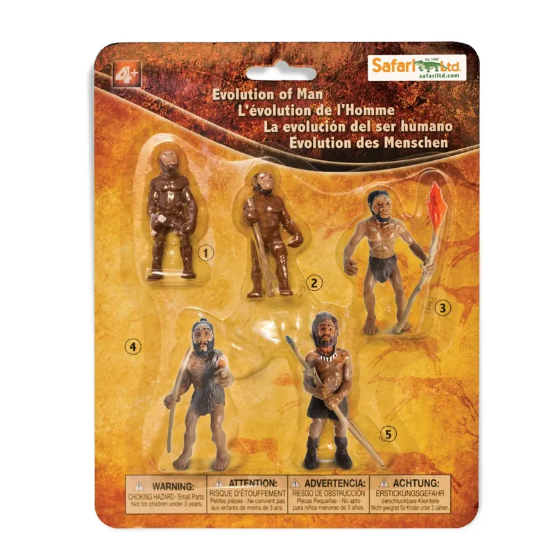 Lot de 5 figurines évolution de l'homme Safari 663816