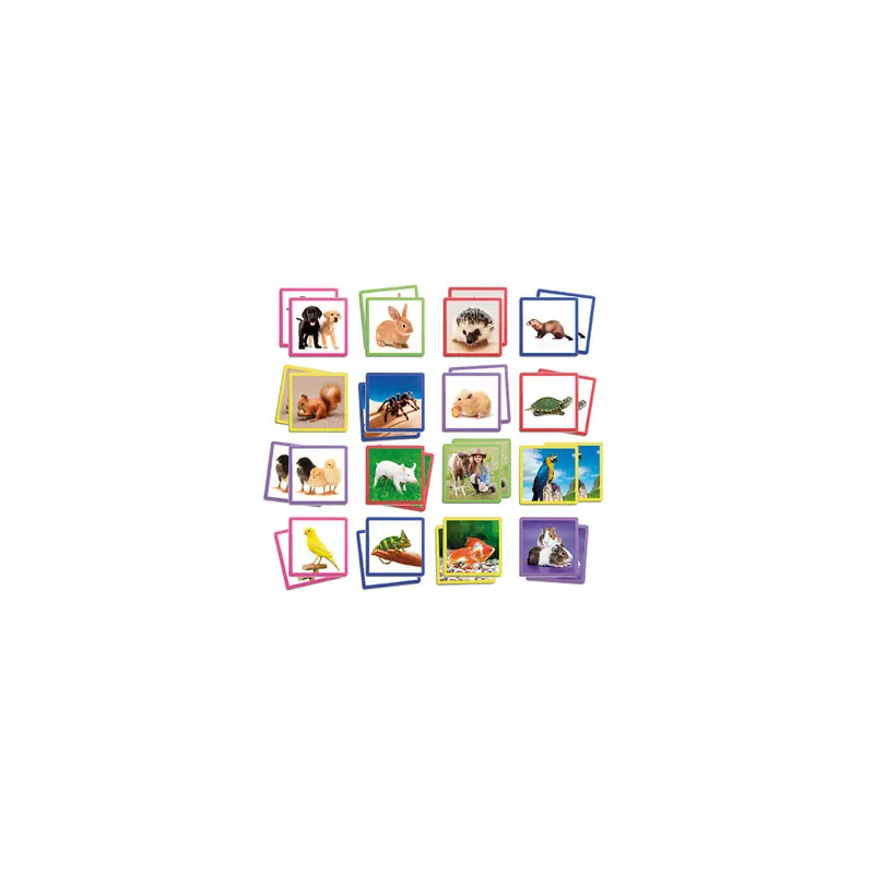 Maxi Memory Animaux de Compagnie - Jeu Éducatif AKROS