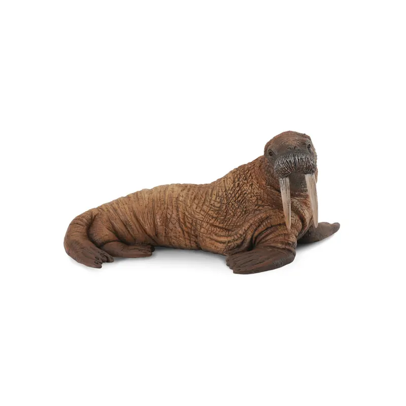 Morse CollectA - Figurine réaliste adulte (Odobenus) 88569