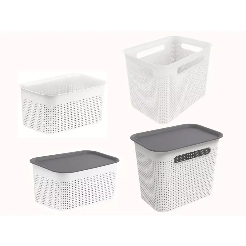 Panier de rangement Rotho avec couvercle