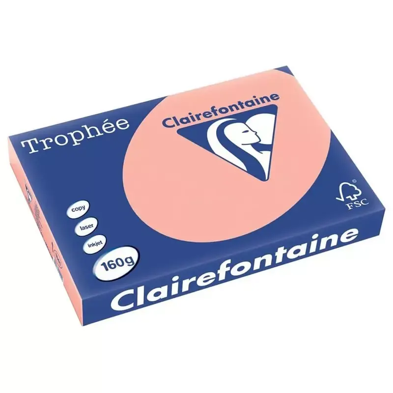 Papier couleur Clairefontaine Trophée A3 160 g pêche (250 feuilles)
