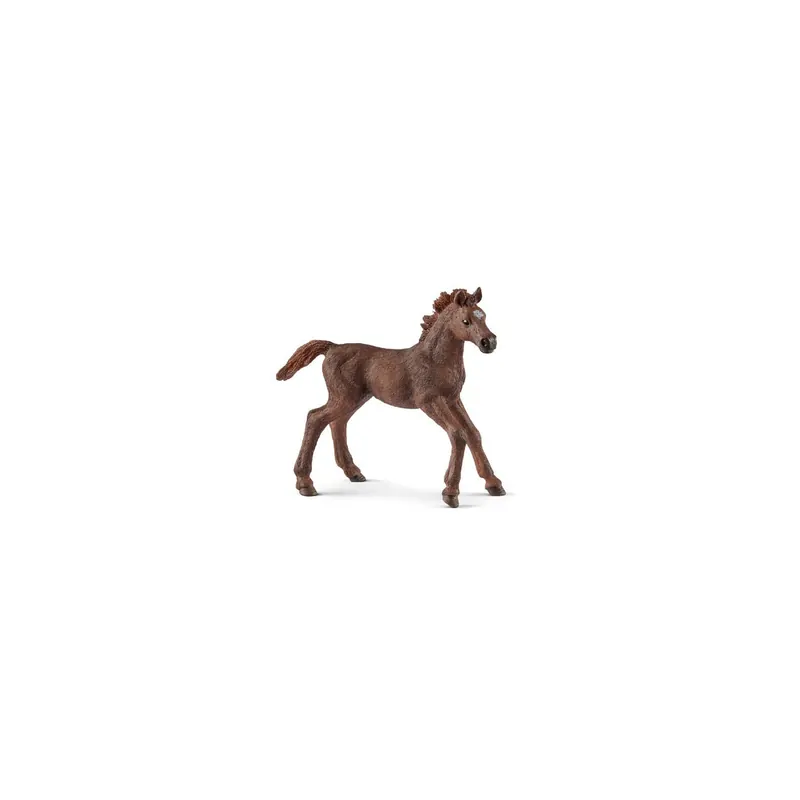 Poulain Pur-sang anglais Schleich 13857 | Figurine Cheval
