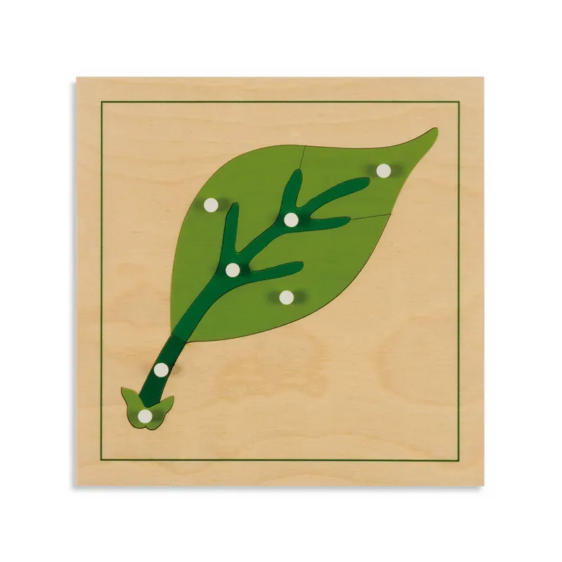 Puzzle de botanique: feuille Montessori - Nienhuis 0198C0