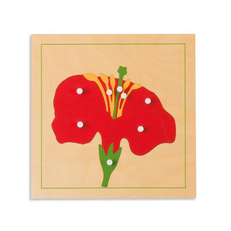Puzzle de botanique: fleur Montessori - Nienhuis 0198B0