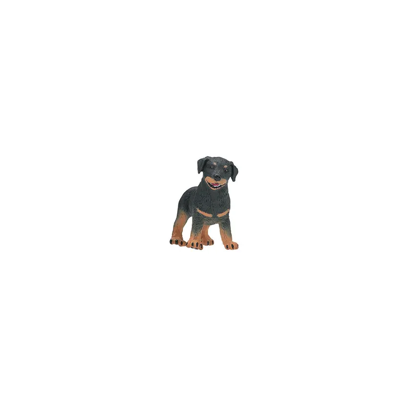 Rottweiler Chiot Safari Ltd 239229