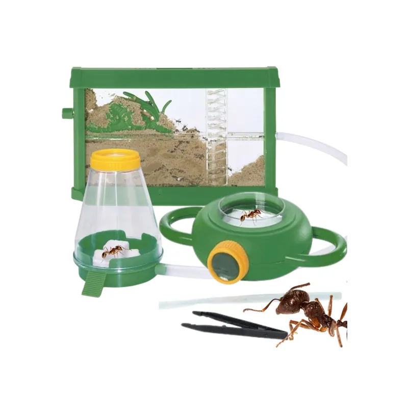 Serre d'observation Ferme à fourmis - Exploration scientifique de la nature et des animaux
