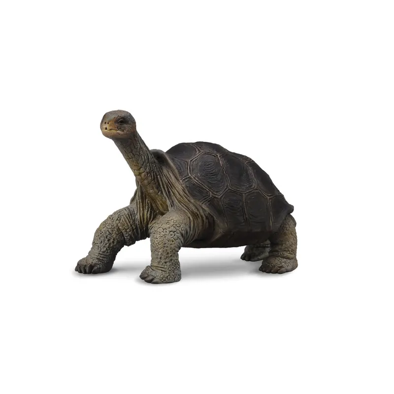 Tortue géante des Galapagos - Figurine CollectA 88619