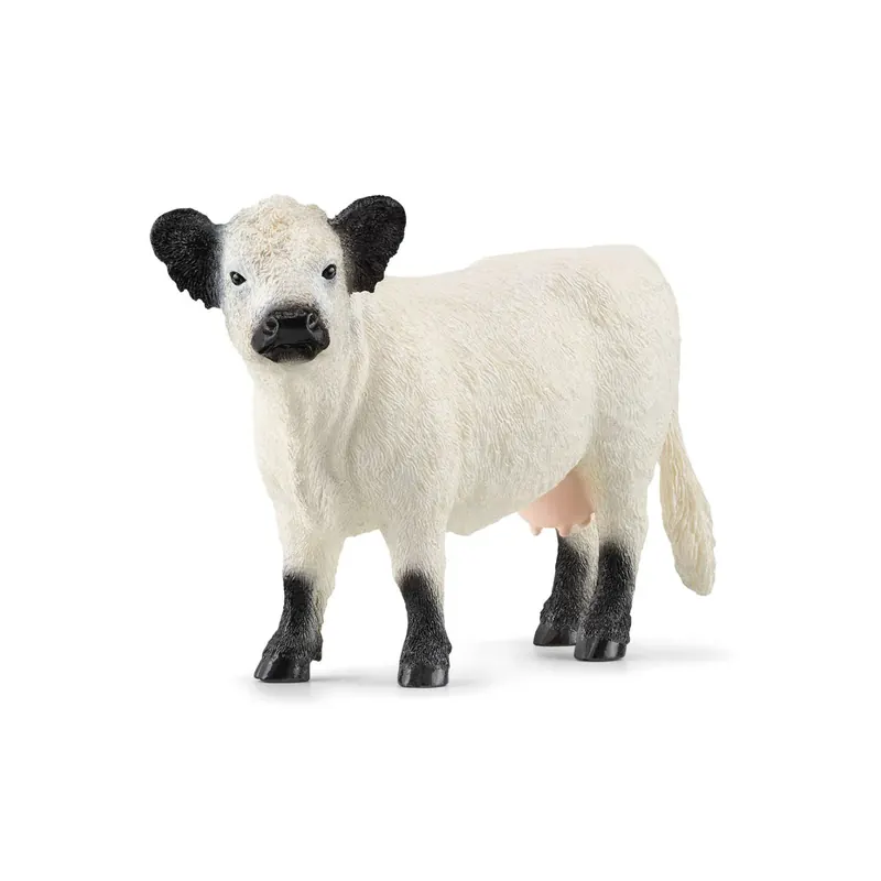 Vache Galloway - Figurine Schleich 13960
