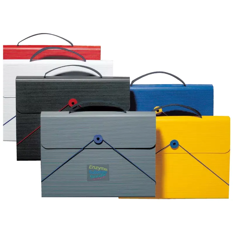 Valisette porte-documents
