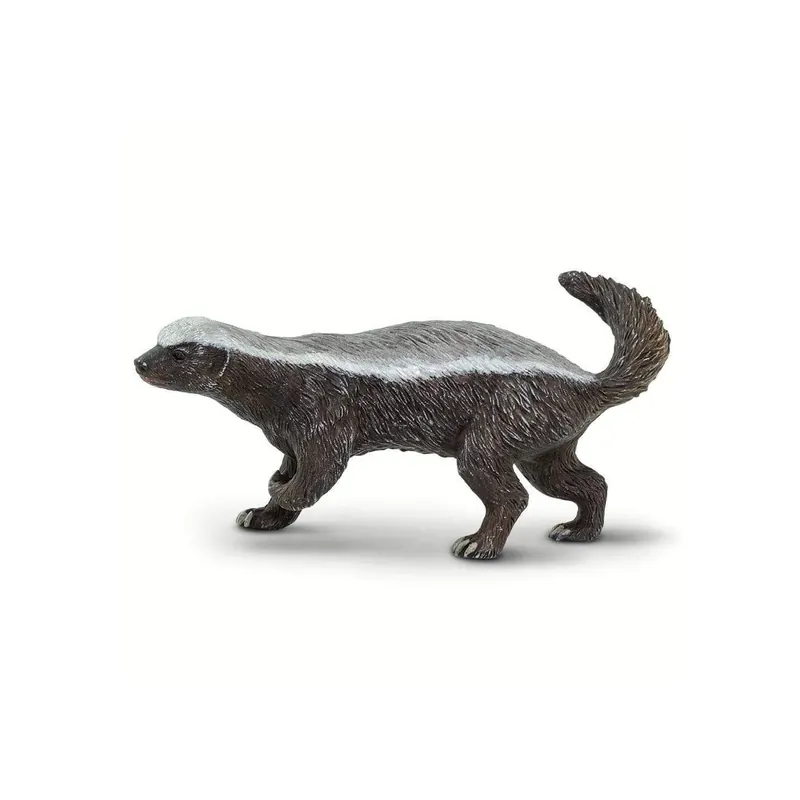 Zorille du Cap - Ratel blaireau Safari Ltd 100272